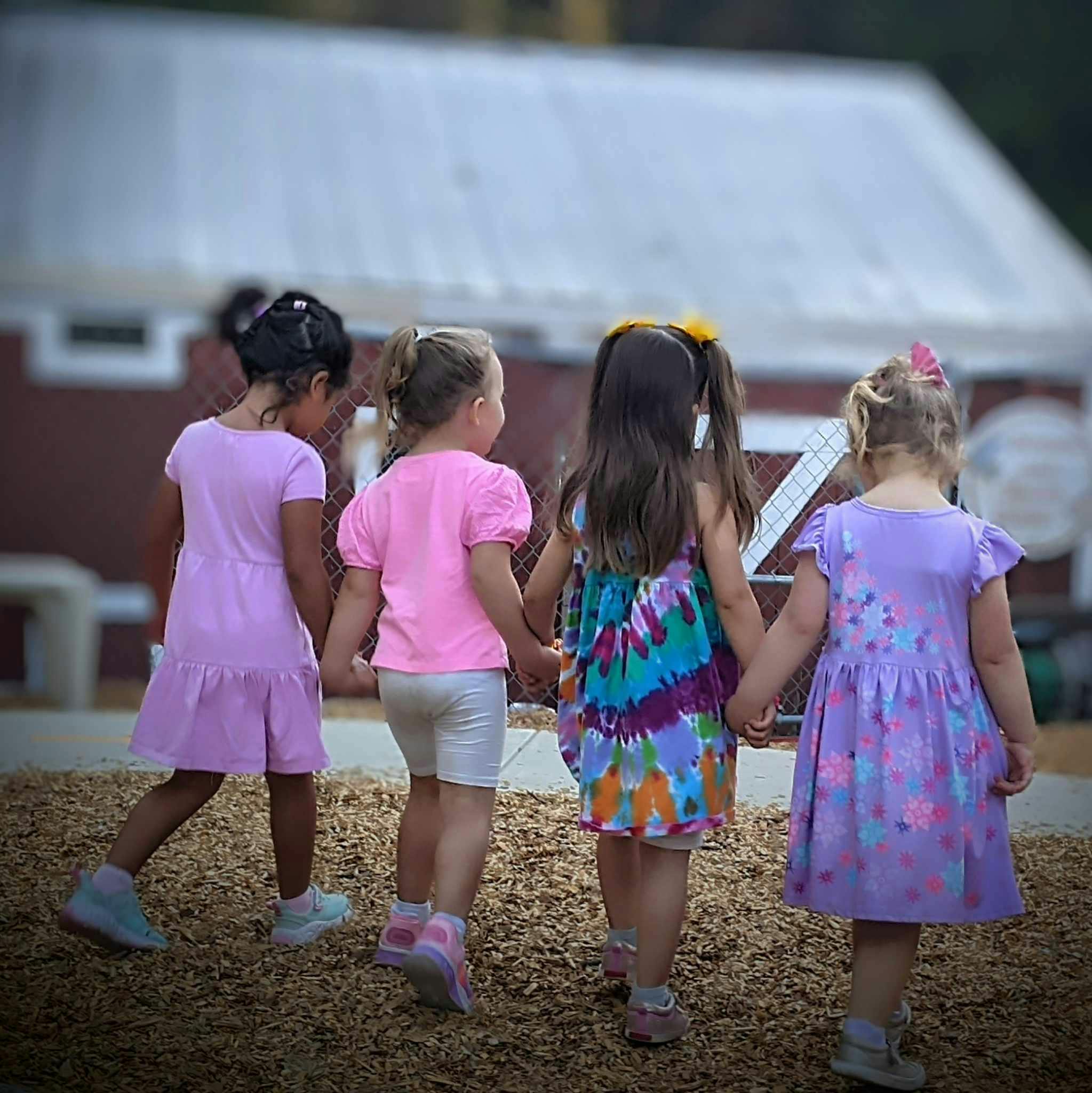 Four children holding hands and walking away from the viewer