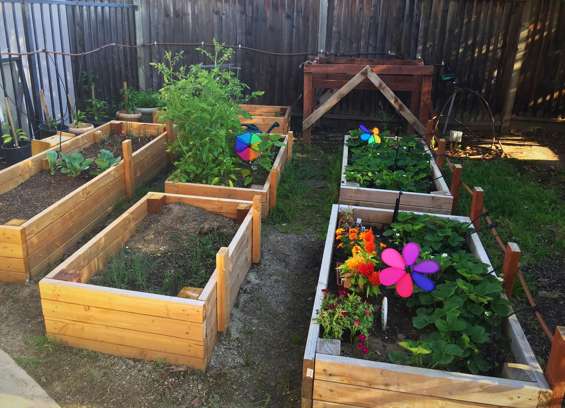 Raised garden beds with plants and colorful pinwheels