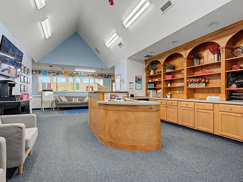 Reception area with a wooden desk and shelves, a TV, and a blue carpet