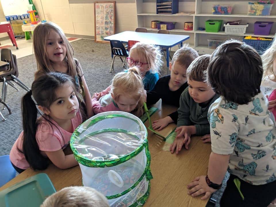 Children gathered around a butterfly habitat on a table