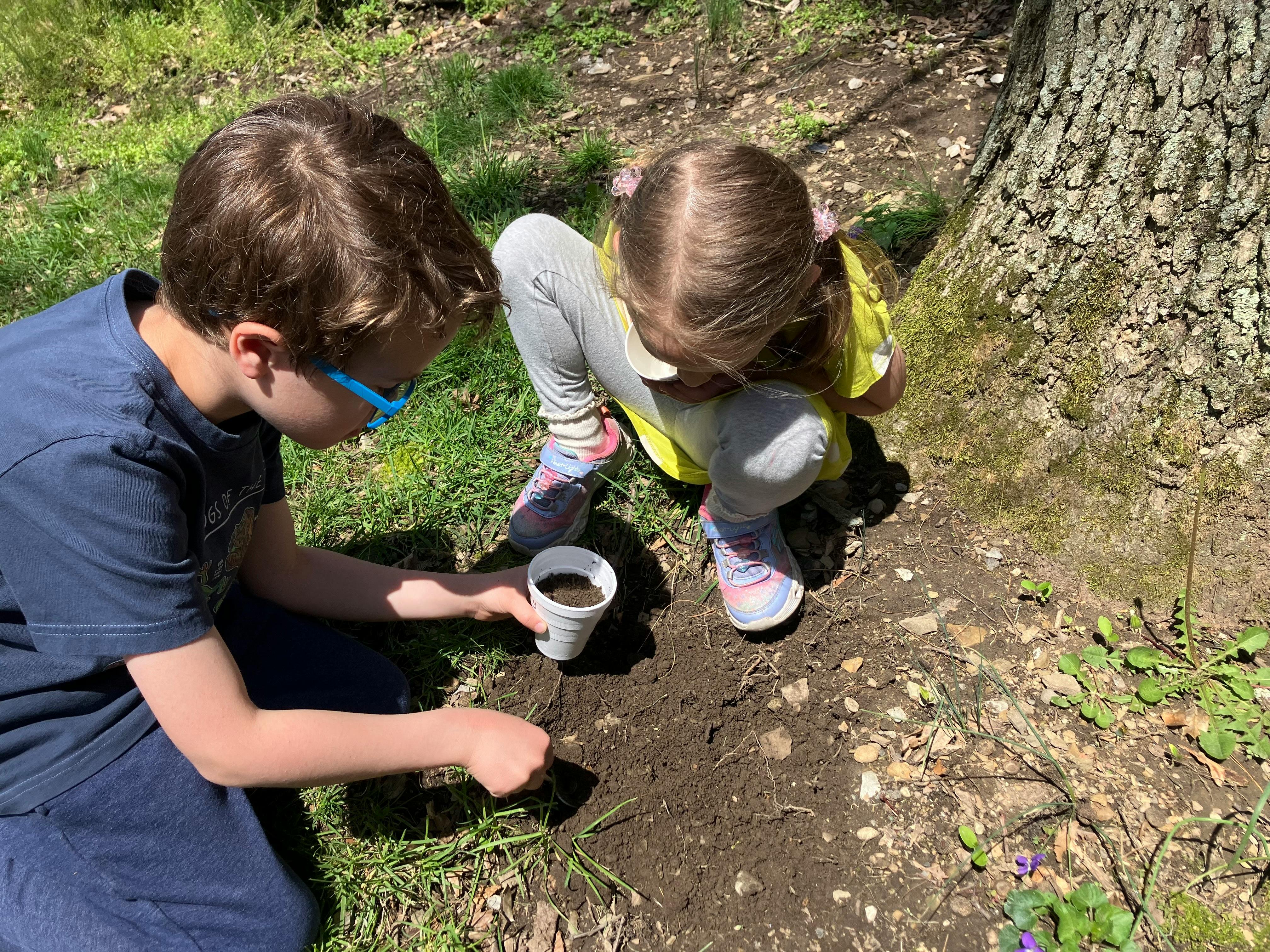 Two children crouching on the ground and digging in the dirt near a tree