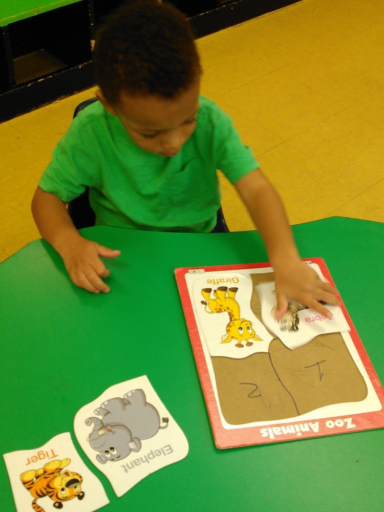 Child playing with a zoo animals puzzle on a green table