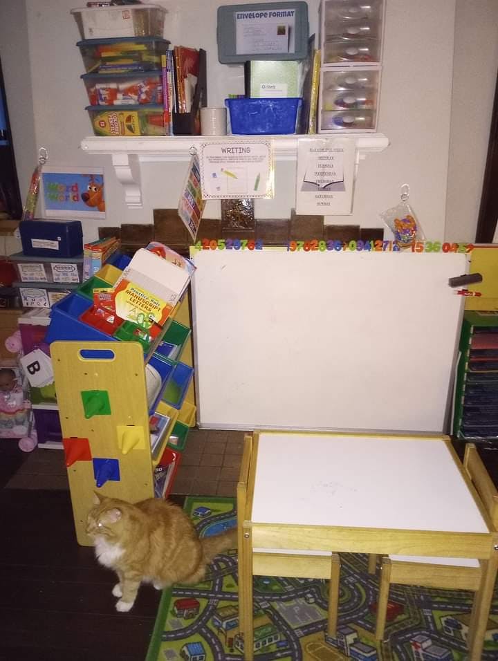 Orange cat sitting on a rug next to a child's table and whiteboard