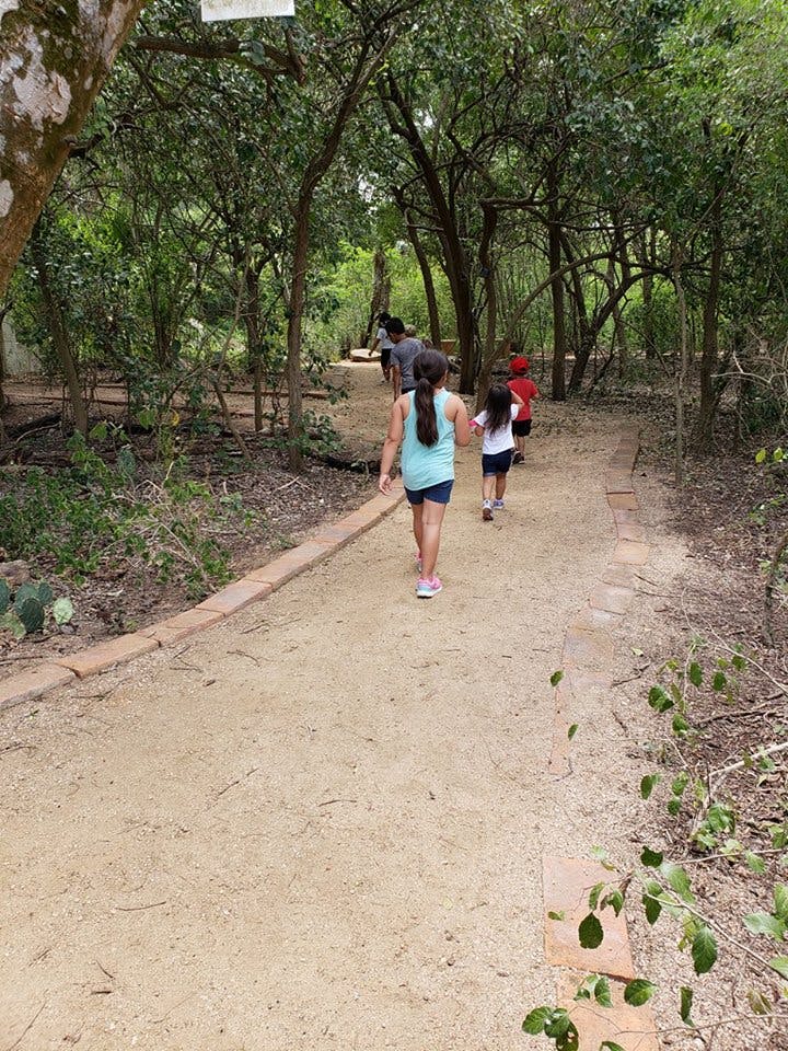 Children walking on a dirt path through a wooded area
