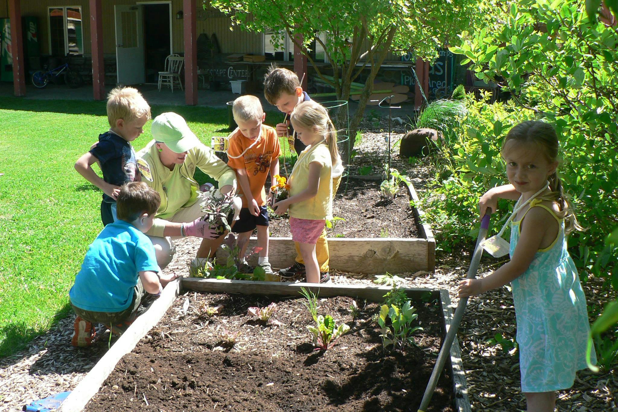 Children gardening in raised beds