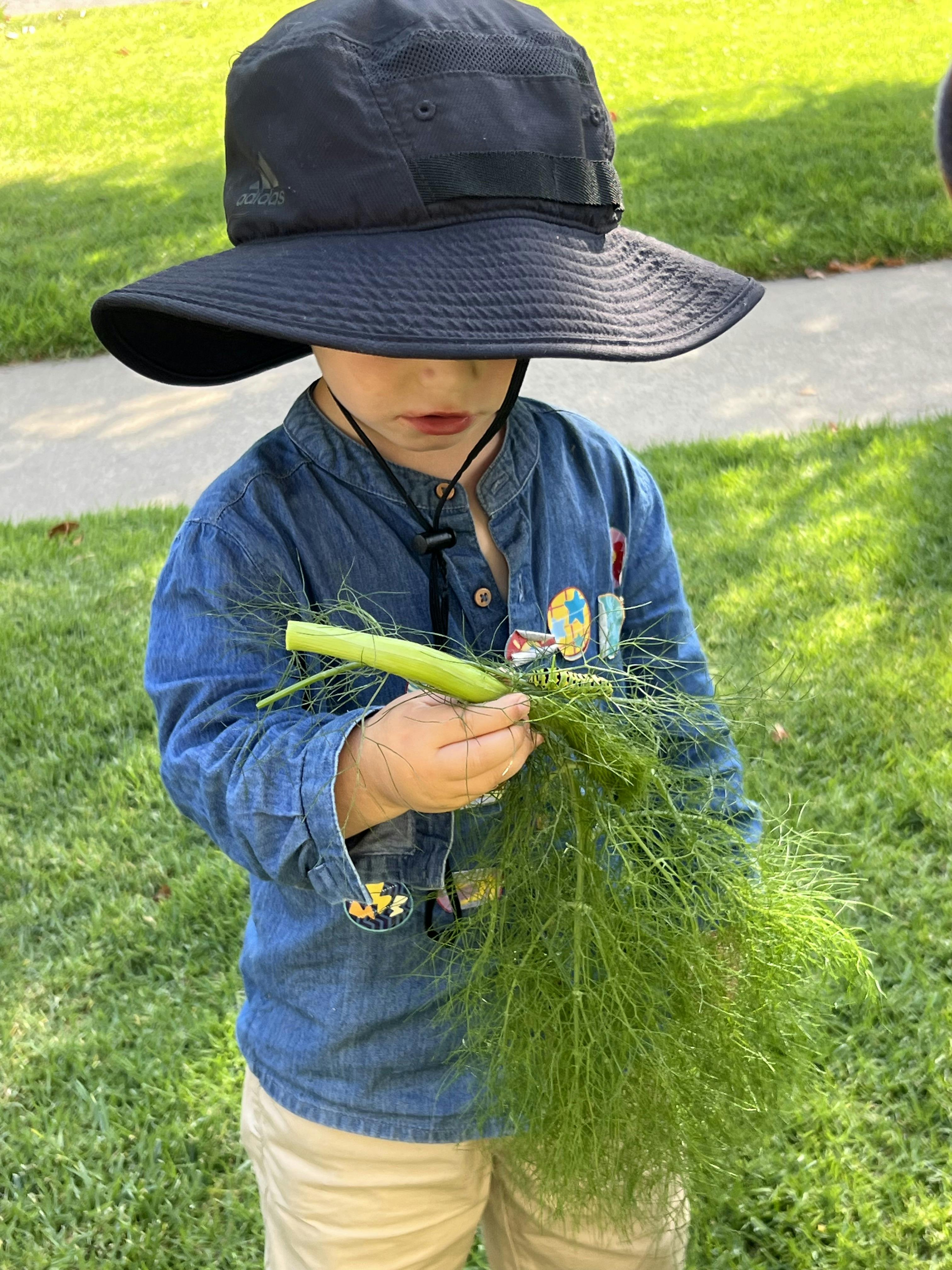 Child in hat and denim shirt holding green plant with caterpillar