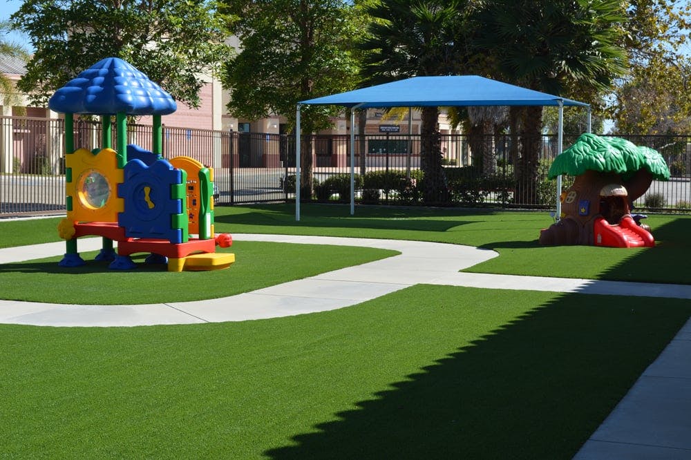 Playground with colorful play structure, tree-shaped slide, and blue canopy
