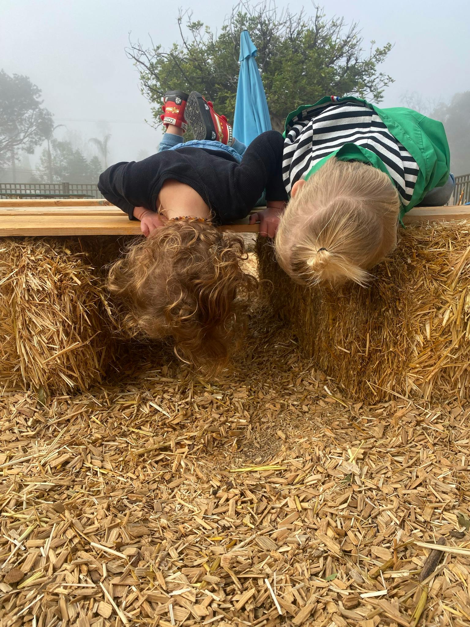 Two children looking down into a hay bale