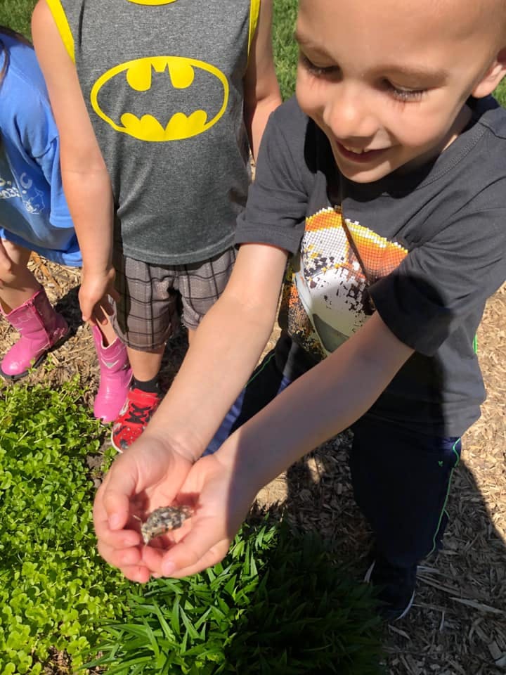 Child holding a small animal in cupped hands