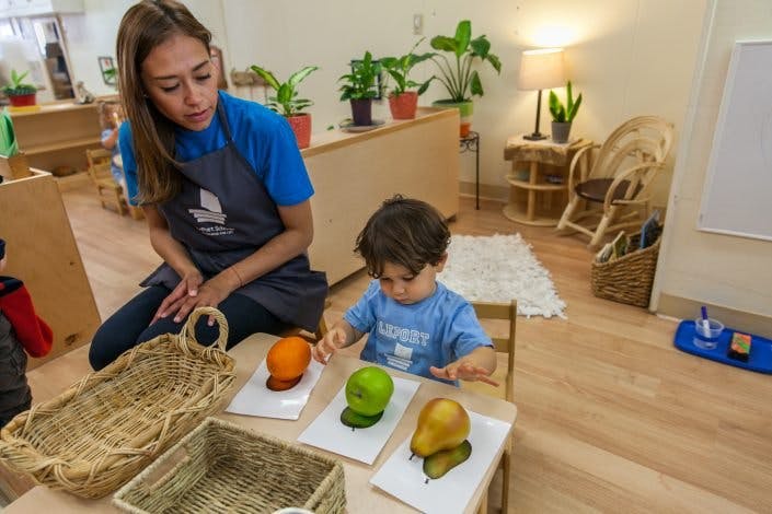 LePort Montessori School (Solana Beach) in Del Mar, CA