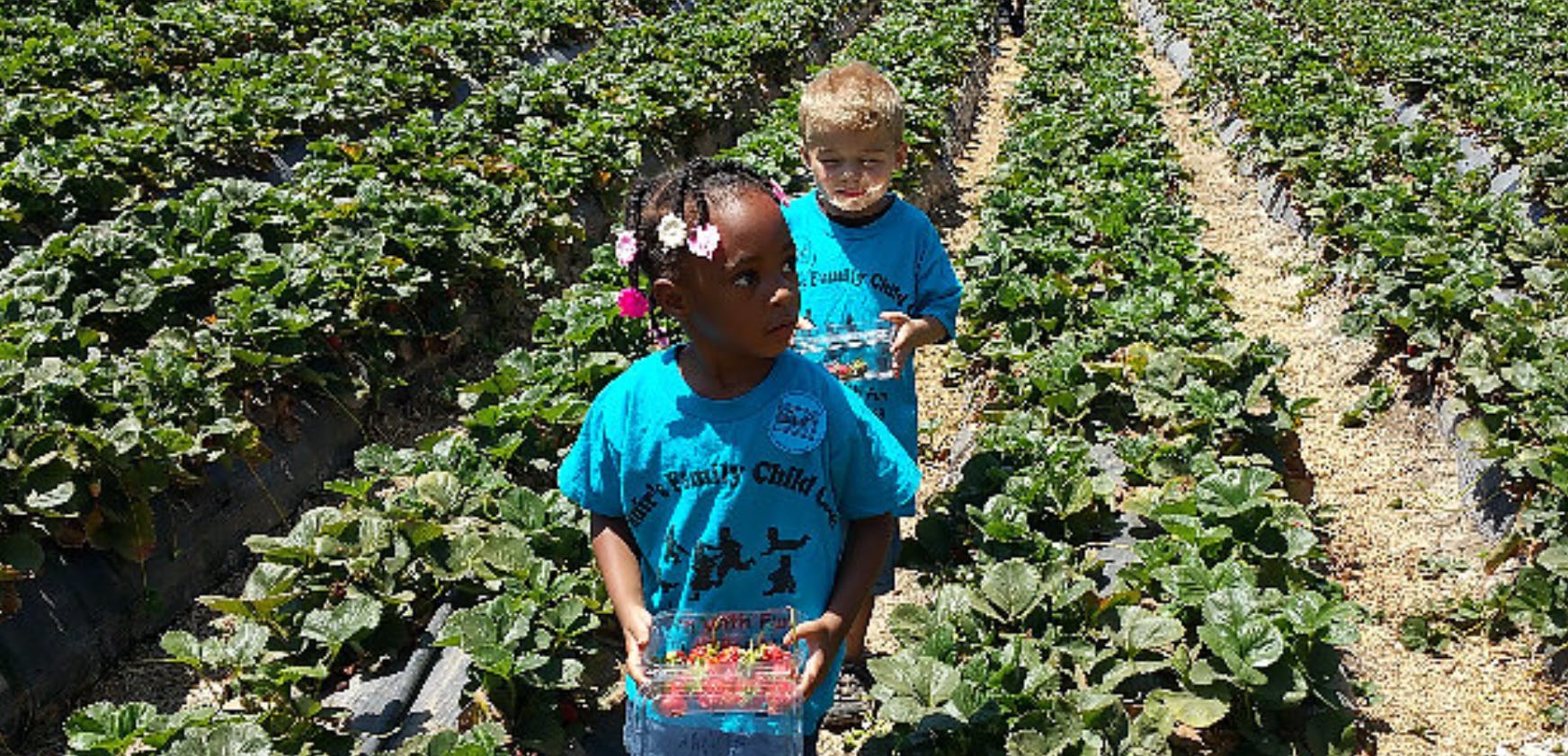 Two children holding containers of strawberries in a field