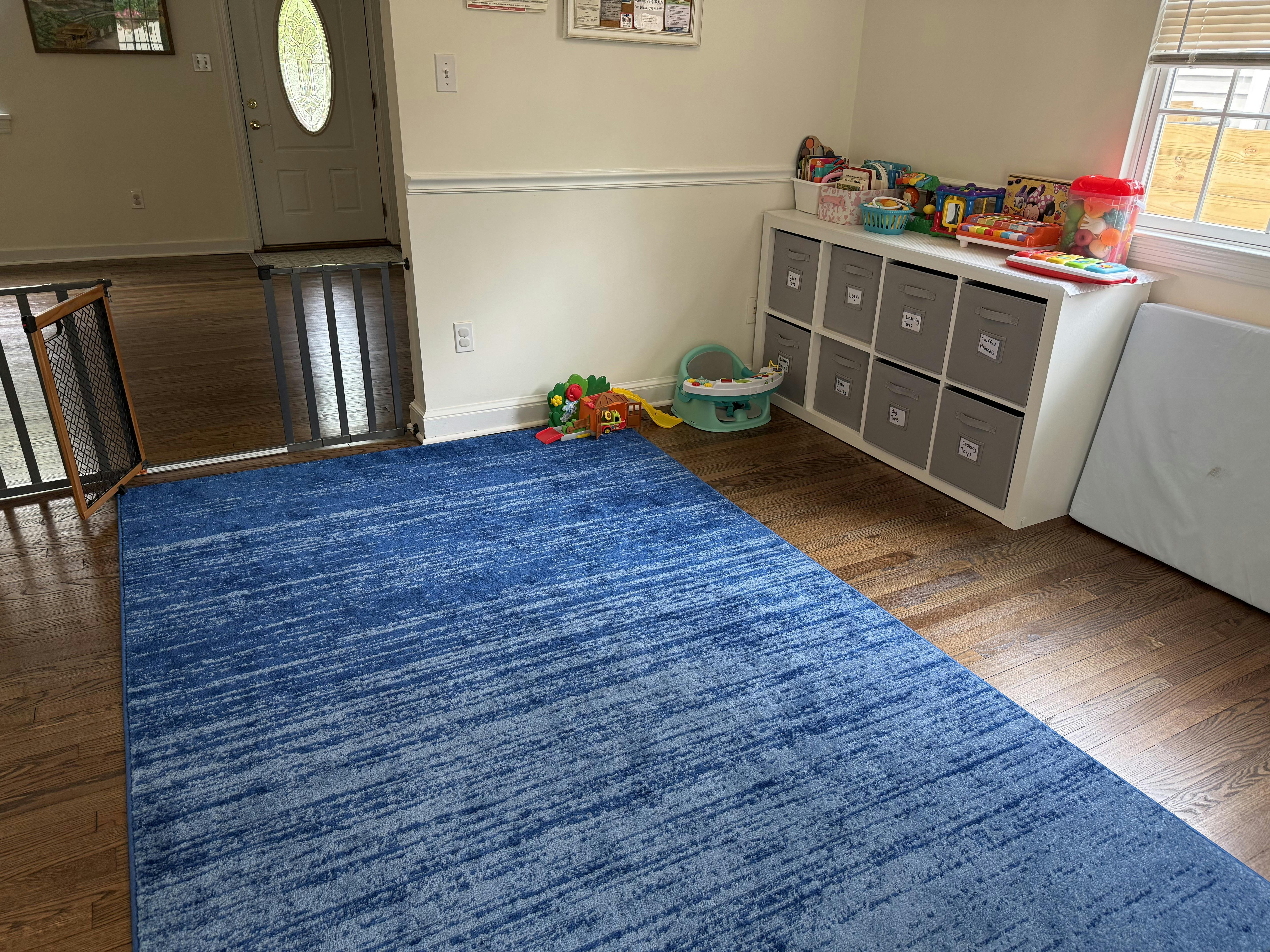 Play area with a blue rug, toy storage bins, and a baby safety gate