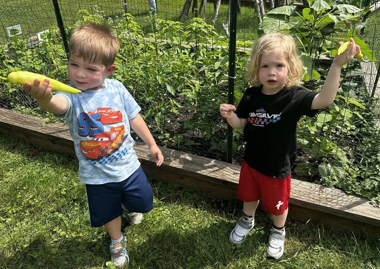 Two children holding bell peppers in a garden
