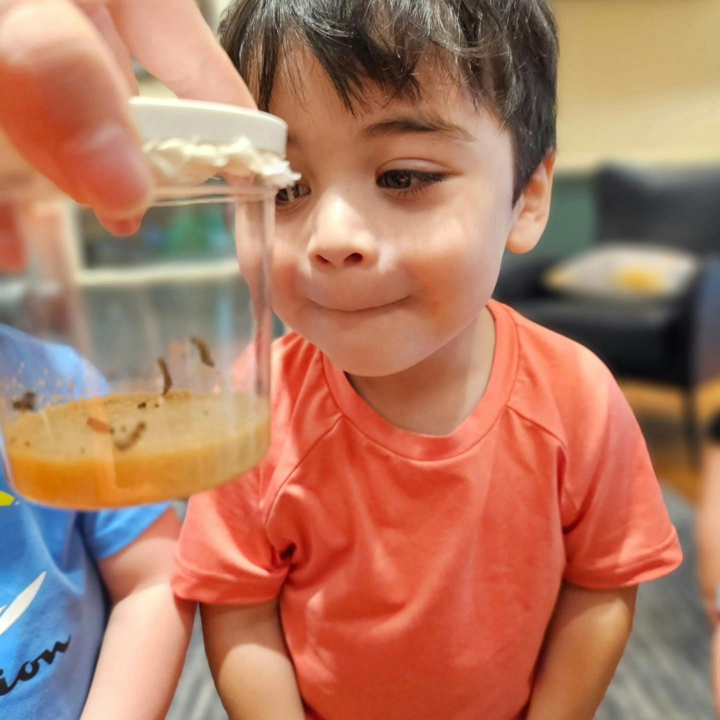 Child looking at insects in a clear plastic container