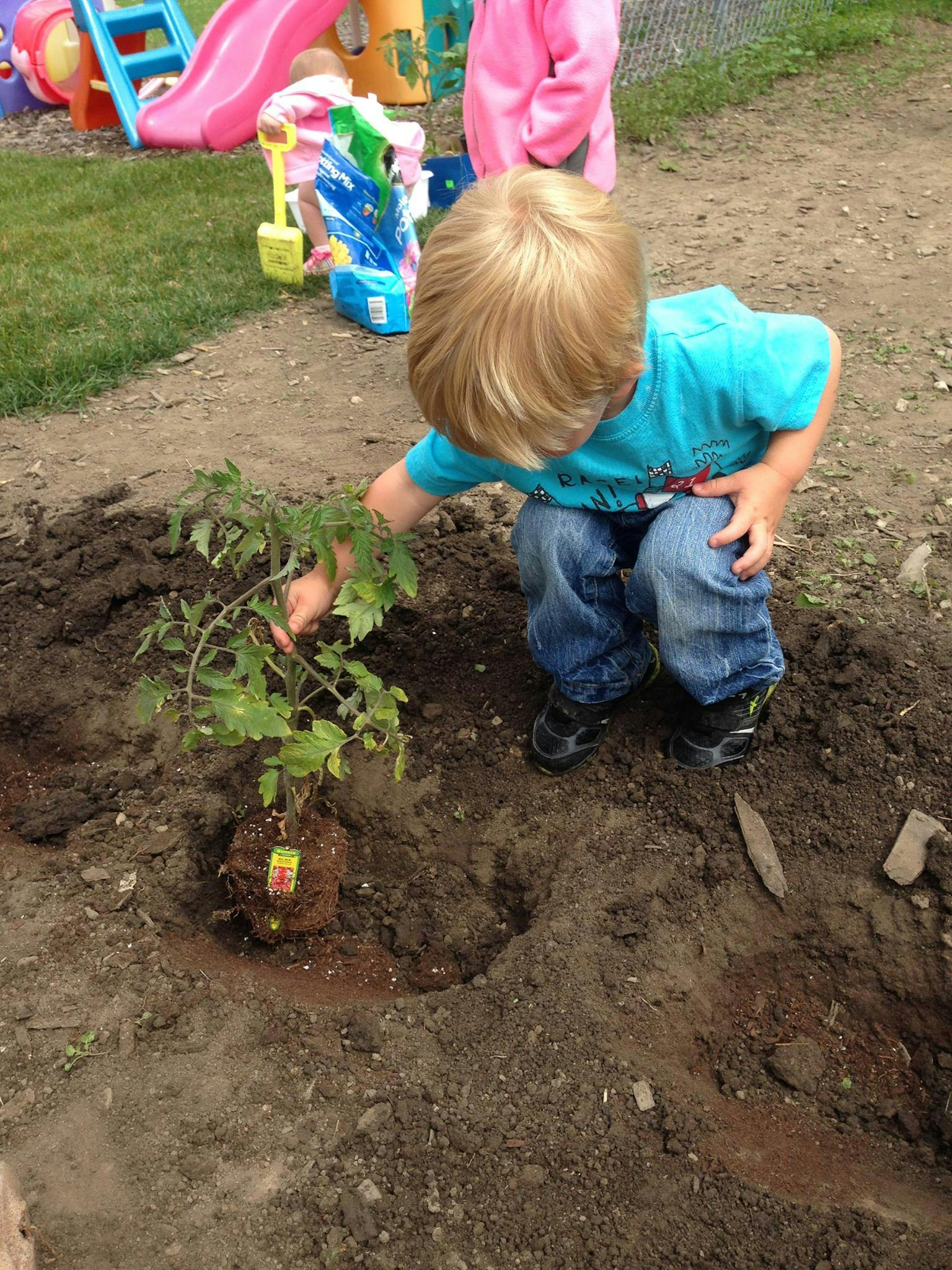 Child planting a small plant in the dirt