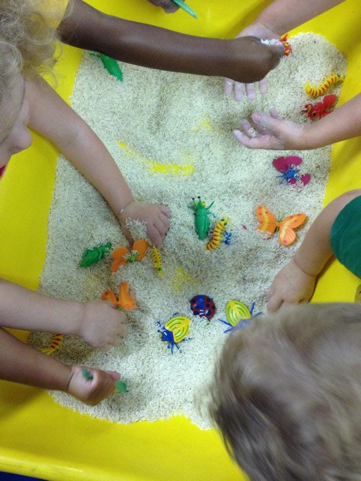 Children playing with rice and insect toys in a yellow bin