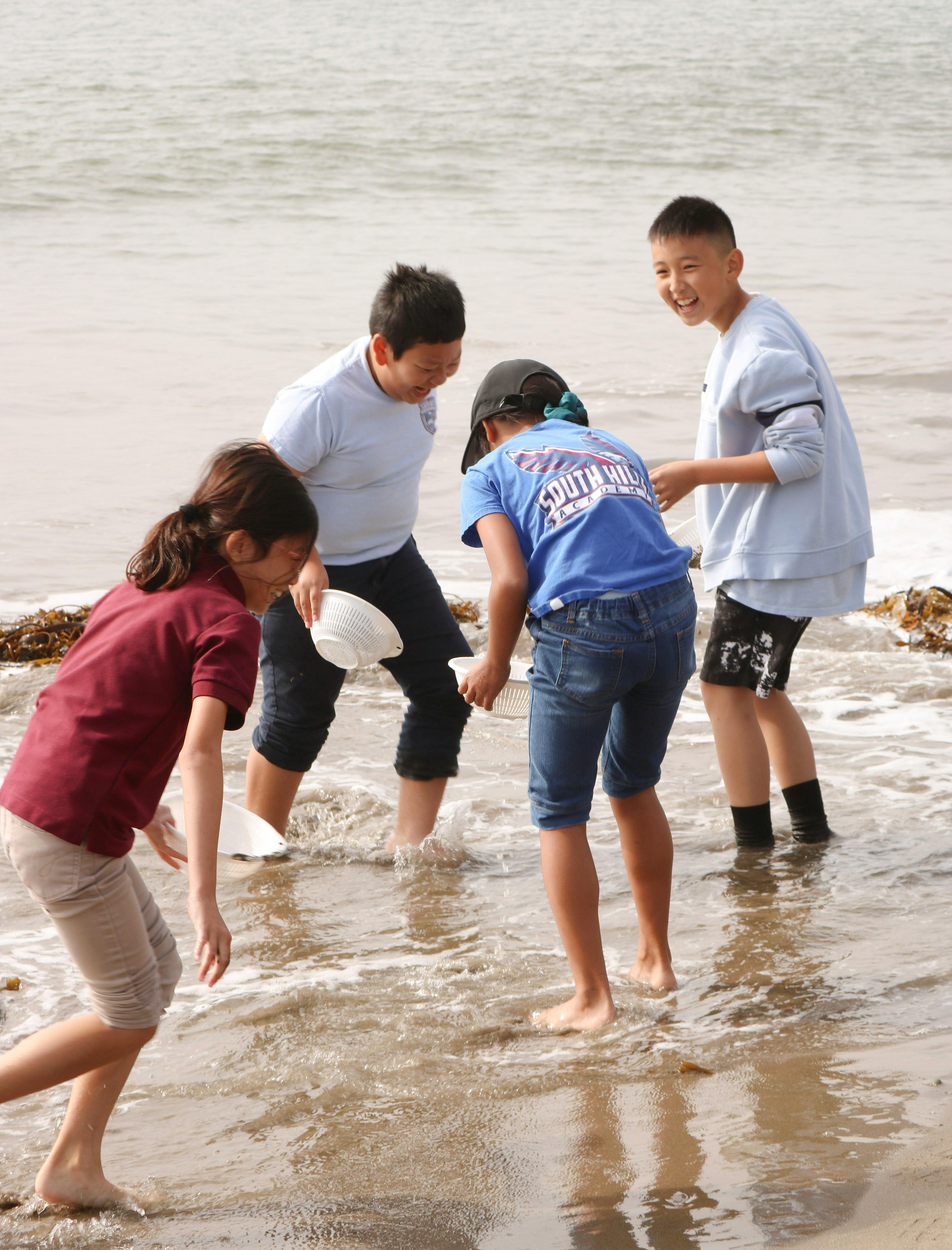 Four children playing in shallow water at the beach