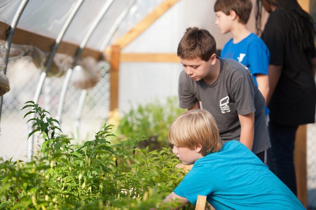 Children looking at plants in a greenhouse