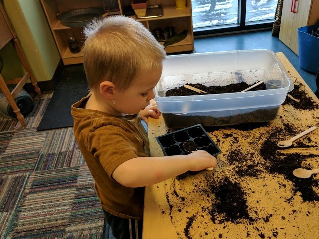 Child playing with dirt and a seed tray in a classroom