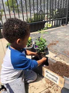 Child planting flowers in a garden