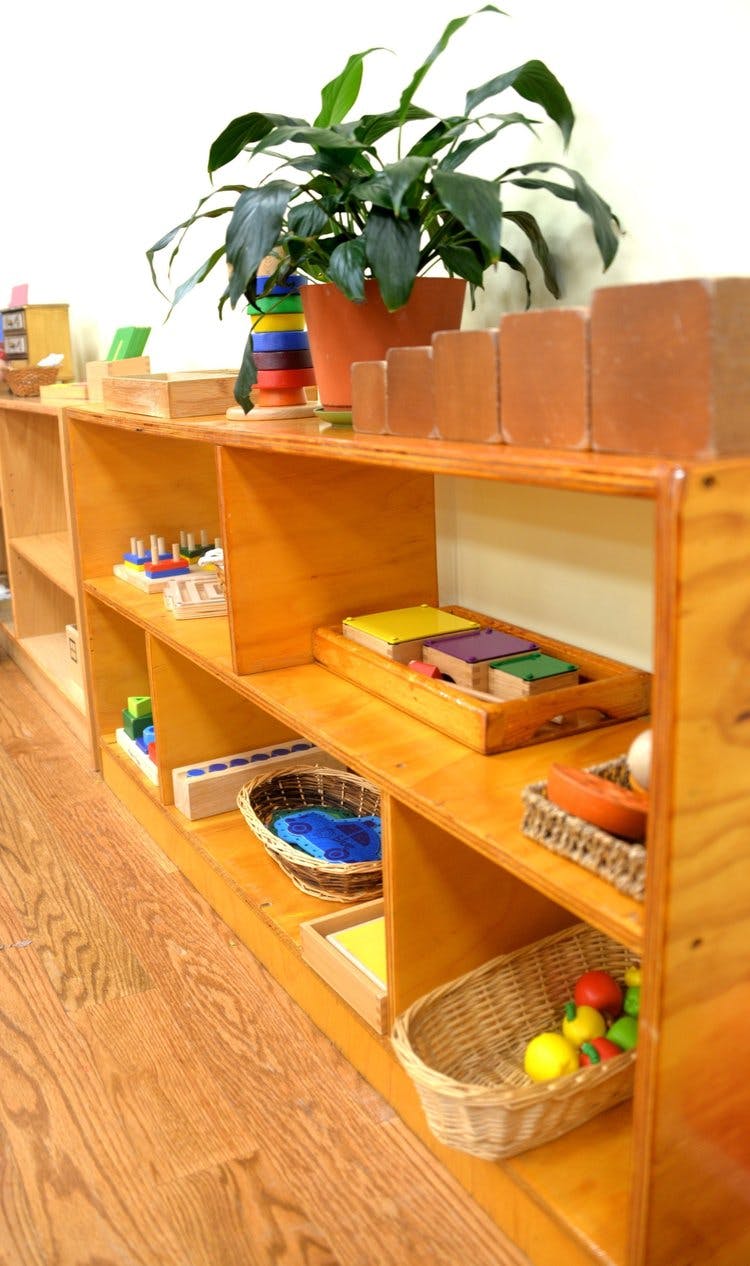 Wooden shelves with various educational materials and a potted plant