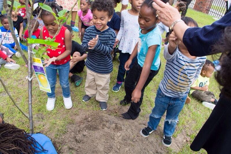 Children gathered around a newly planted tree