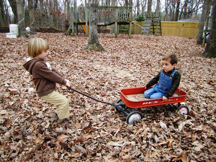 Child pulling another child in a red wagon through fallen leaves