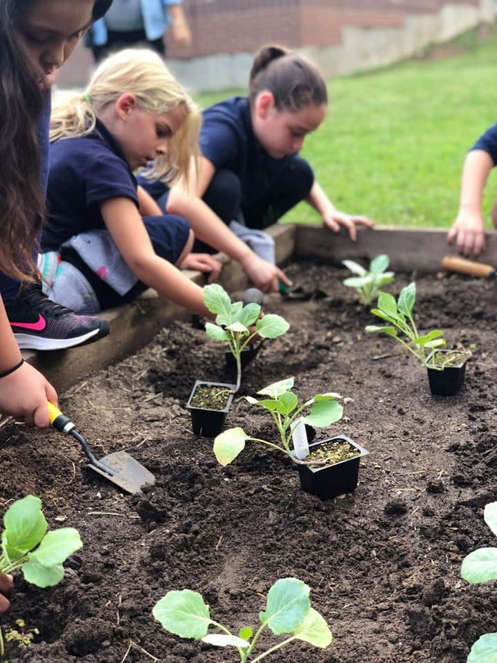 Children planting seedlings in a garden bed