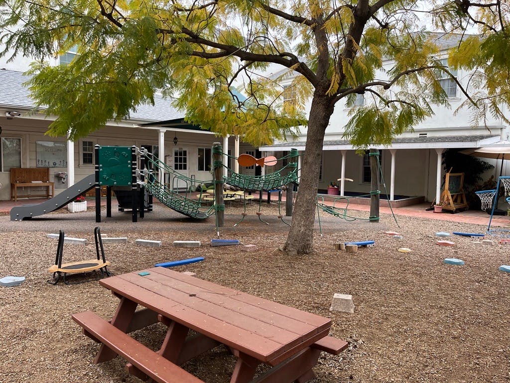 Picnic table and playground equipment under a tree