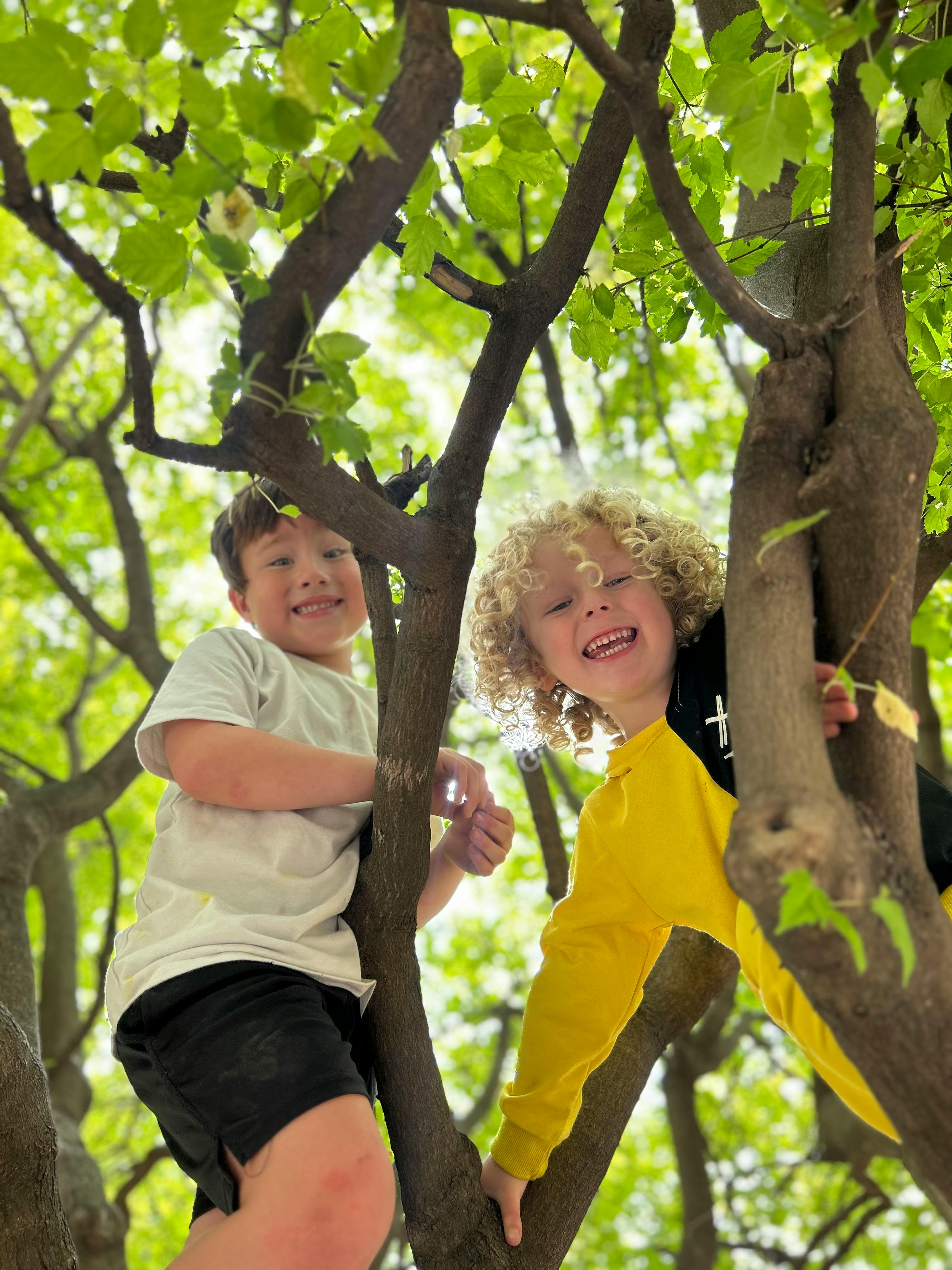 Two children climbing in a tree