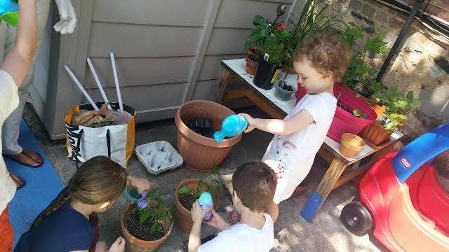Children watering plants in pots