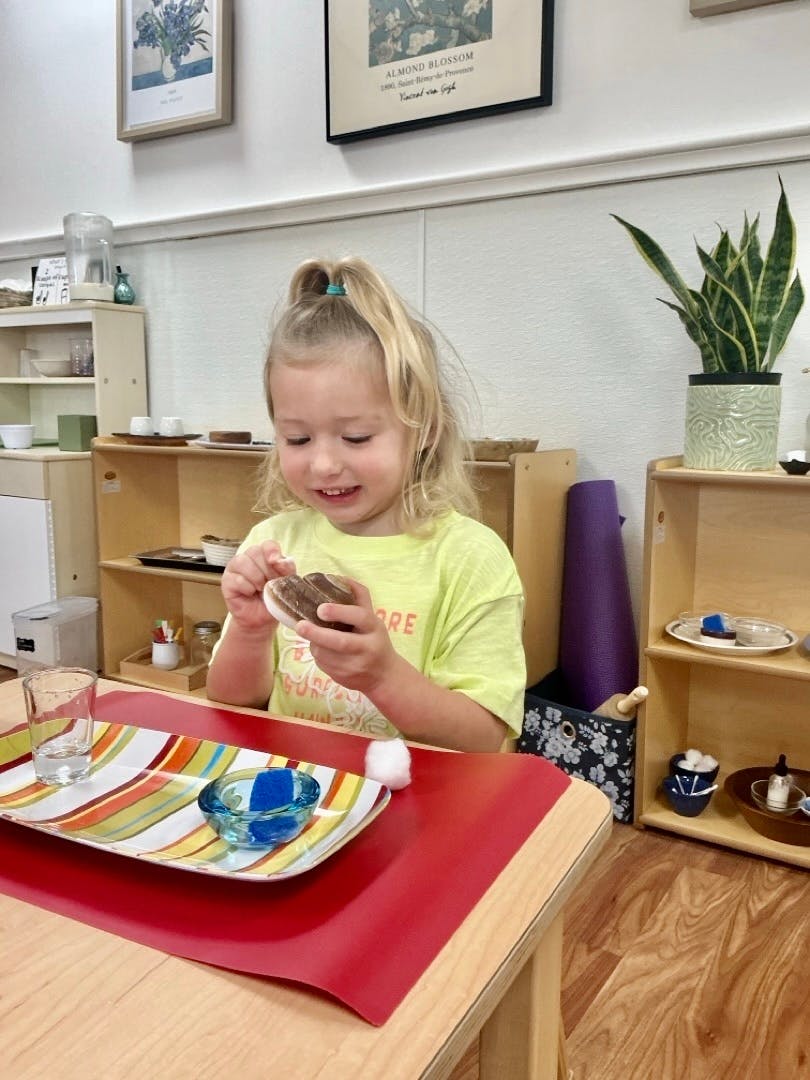 Montessori of Cedar Park in Cedar Park, TX