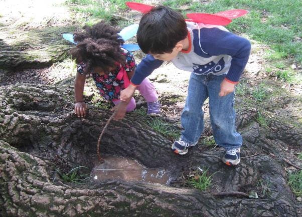 Two children playing with a stick in a tree root