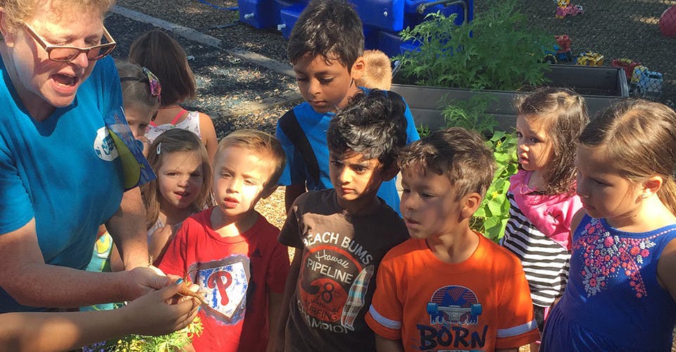 Person showing something to a group of children