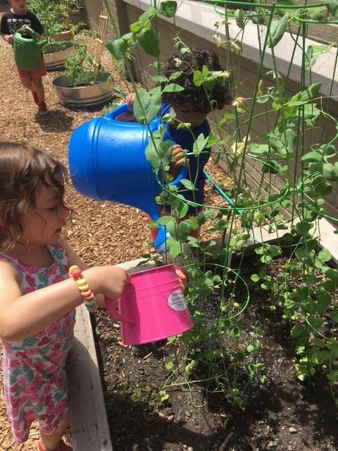 Children watering plants in a garden