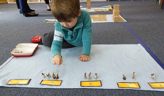 Child on floor playing with small figures and number cards