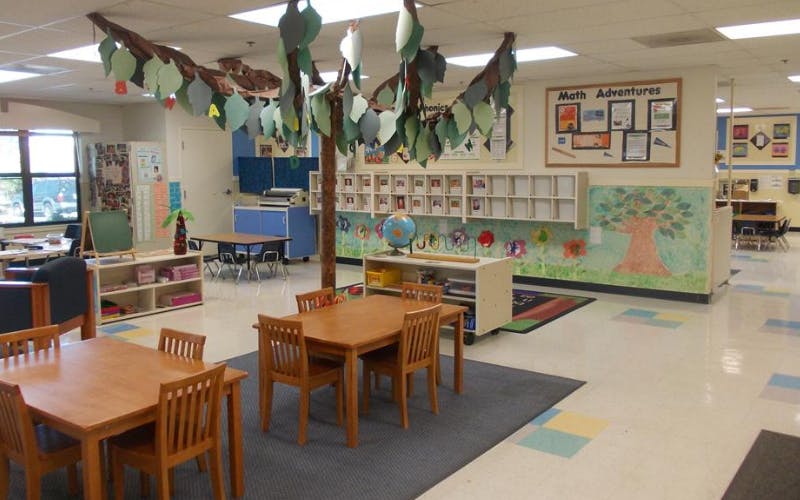 Classroom with small wooden tables and chairs, decorative tree branches, and student artwork