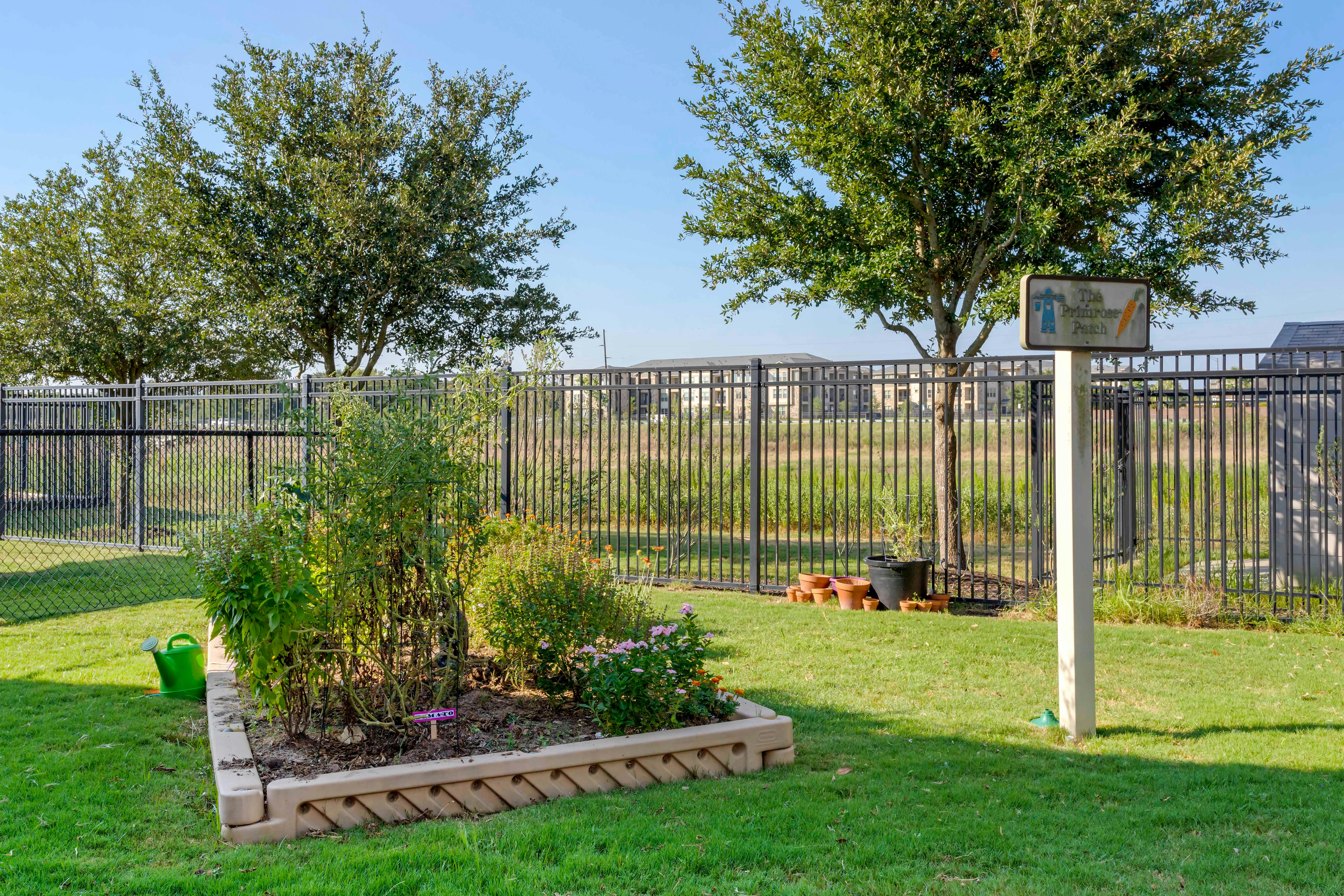 Raised garden bed with various plants and flowers, a sign, and a watering can
