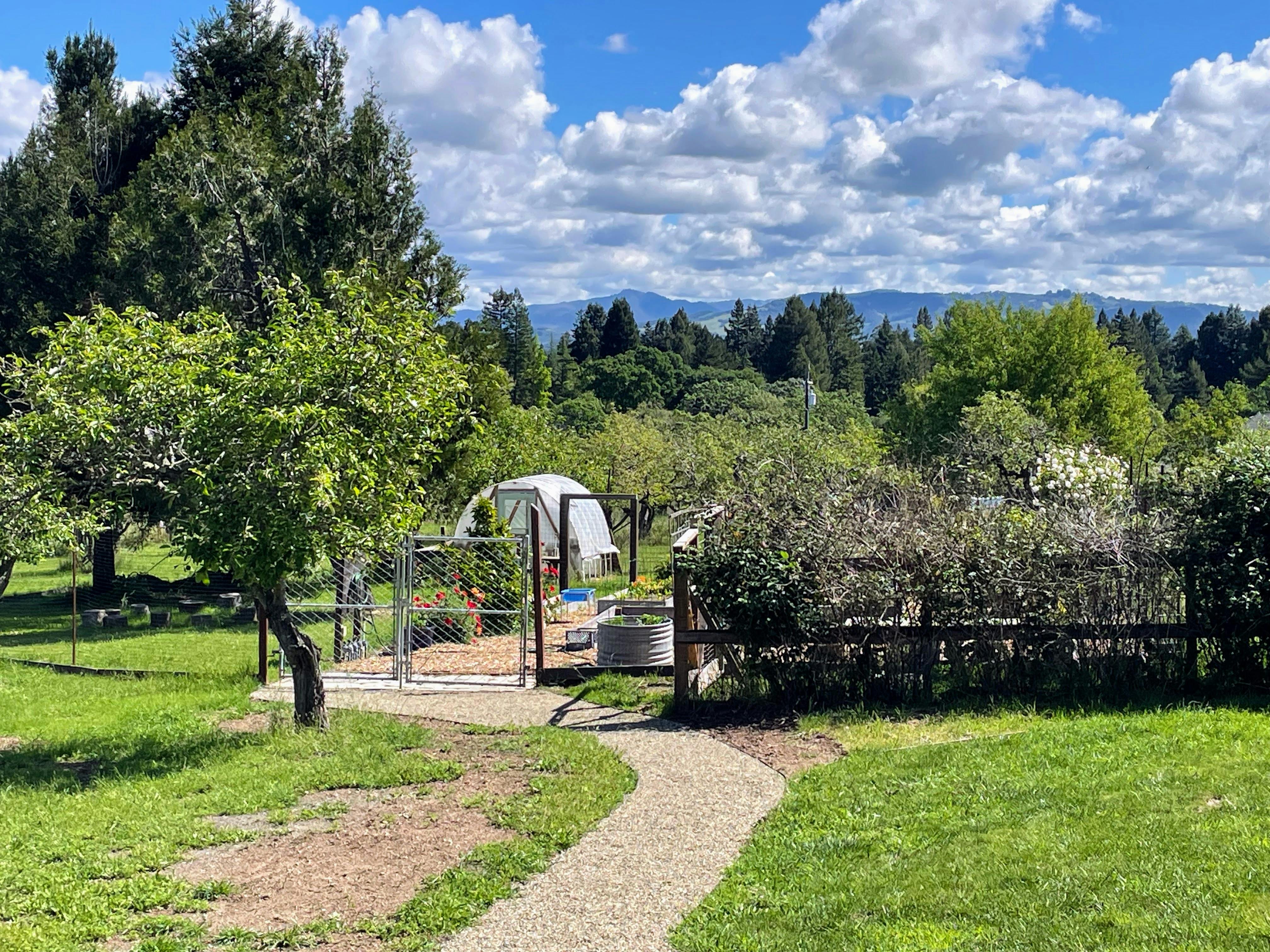 A garden path leading toward a fenced garden area with a small greenhouse