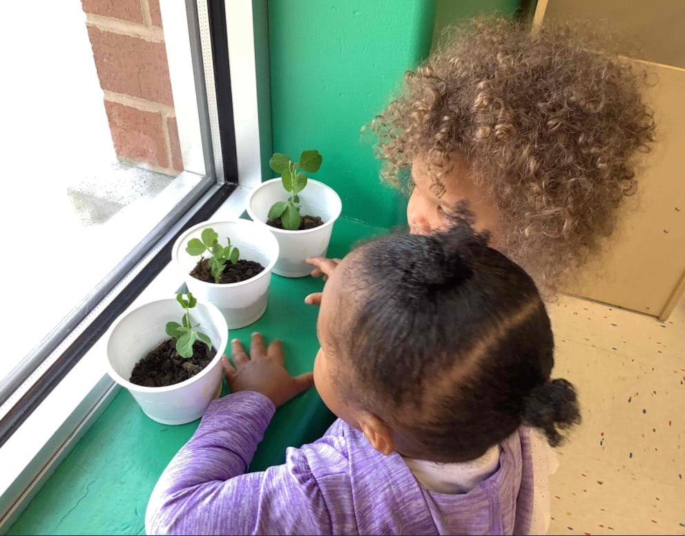 Two children looking at potted plants on a windowsill