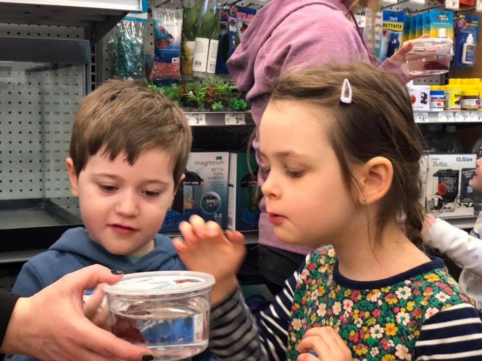 Two children looking at a small container held by an adult