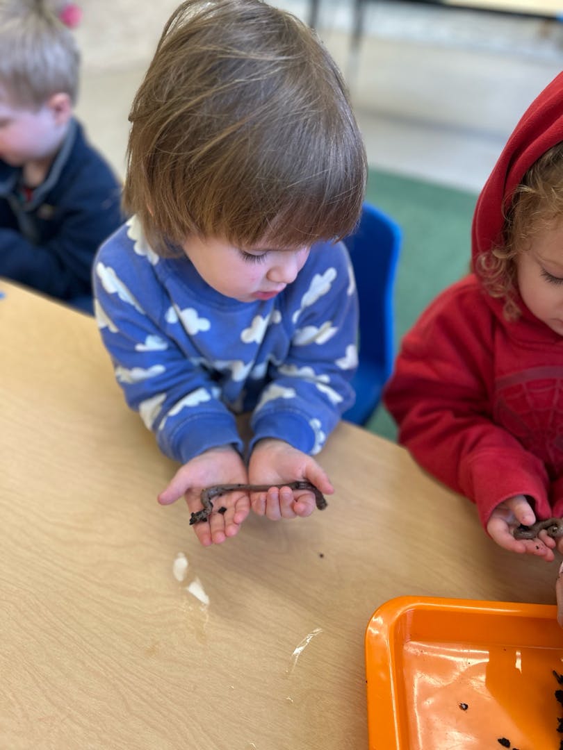 Child holding a worm in their hands at a table
