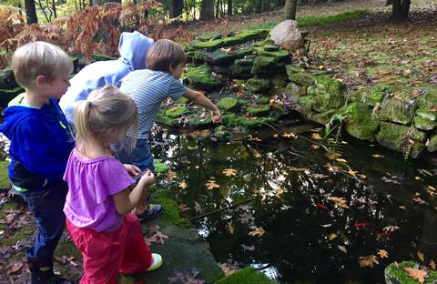 Three children looking into a pond