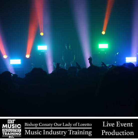 Live music concert with a performer on stage and a crowd with raised hands