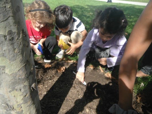 Children playing in dirt around a tree