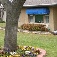 Tree trunk in foreground with house and blue awning in background