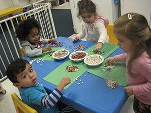 Four children at a table with bowls of small objects