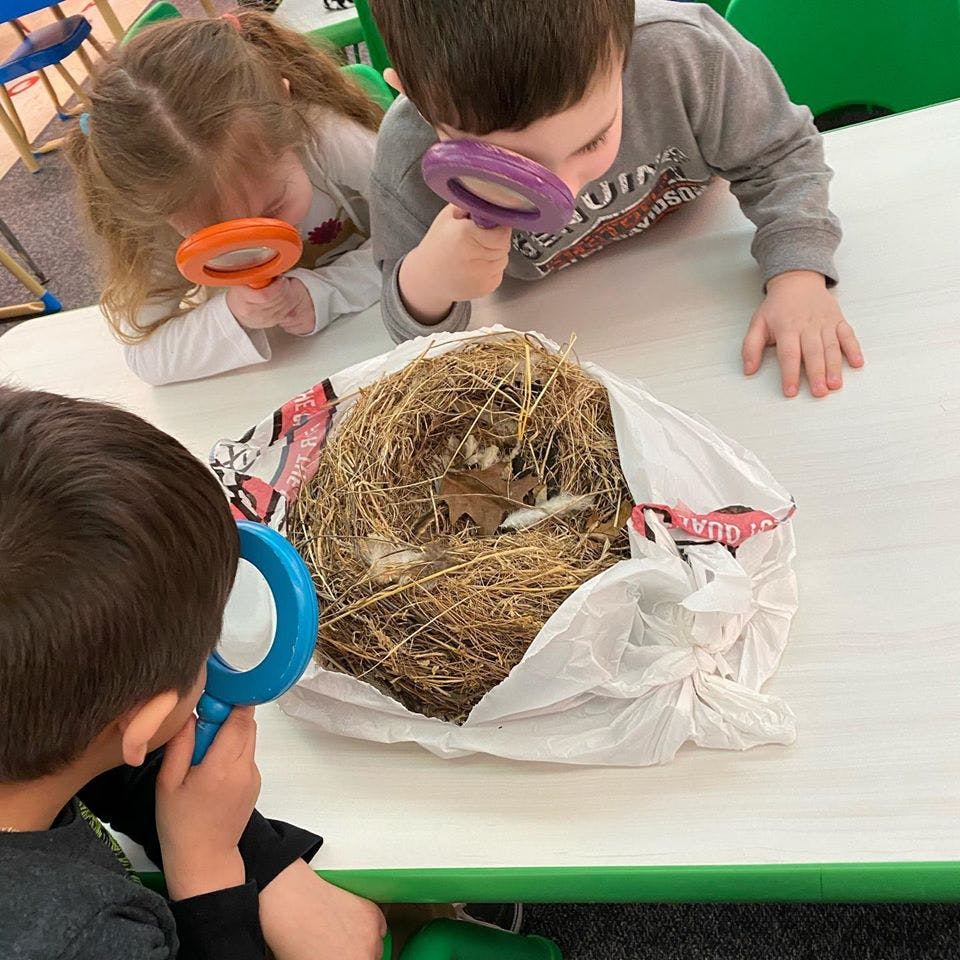 Children looking at a bird's nest with magnifying glasses