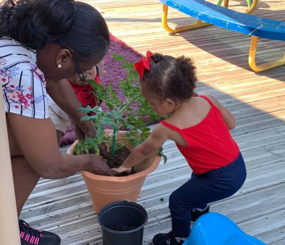 Person and child planting a small plant in a pot