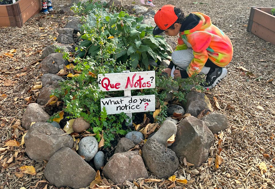 Child crouching next to a garden sign that reads "Que Notas? What do you notice?"